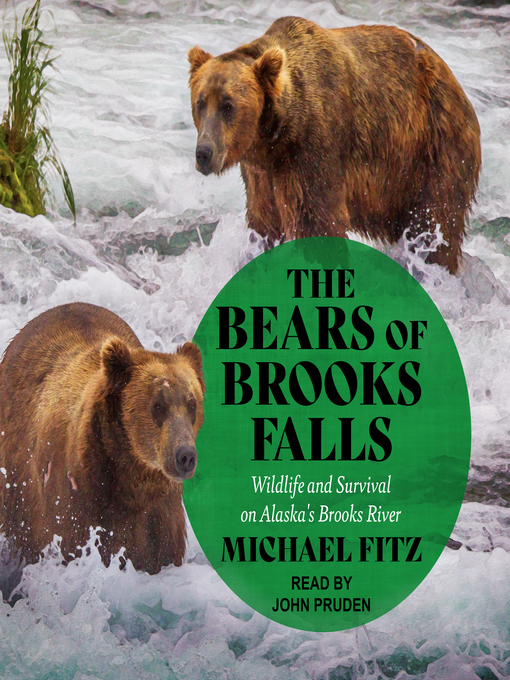 Title details for The Bears of Brooks Falls by Michael Fitz - Available